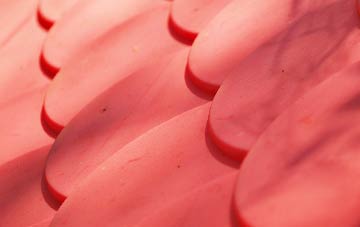 Bicker plastic roof costs